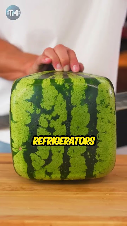 The World's Rarest Watermelon in Japan