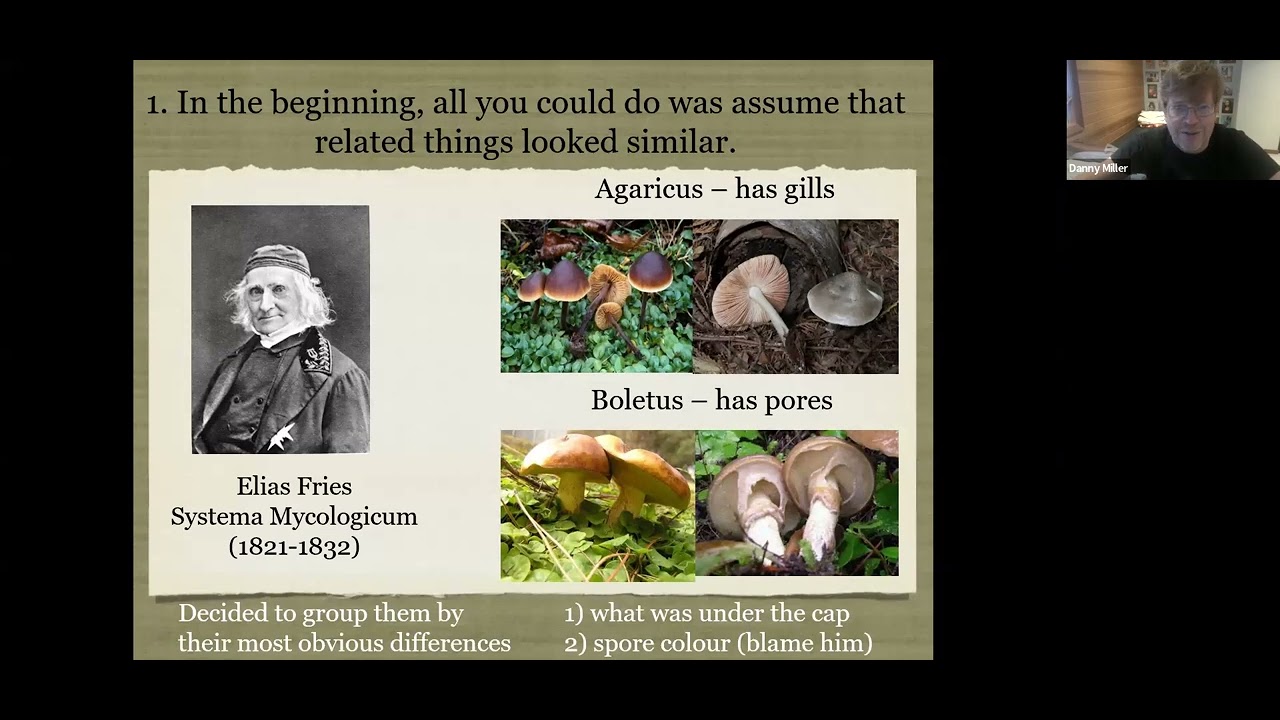 DNA: The Secret History of Mushrooms by Danny Miller