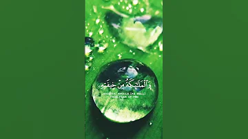 سورة الرعد الآية 12 13 