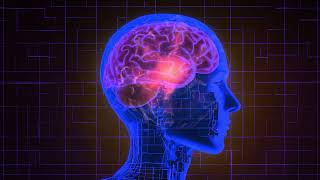 30 Hz Gamma Wave Binaural Beats Sound Pure Tone Binaural Beat - Brains Operating System