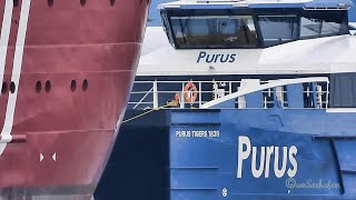 Offshore Tug Windpark Supply Ship PURUS TIGERS 1839 MPTT5 IMO1030480 BJ 2024