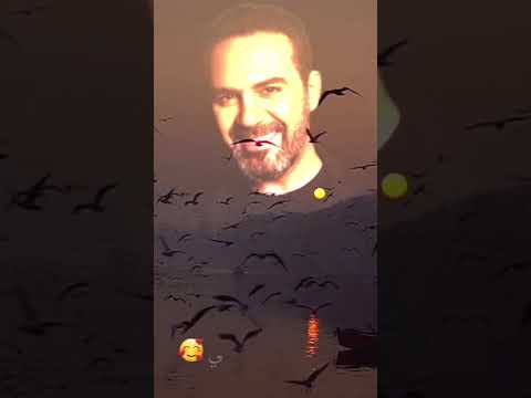 وائل جسار ظروف معنداني