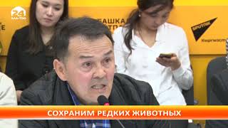 Как сохранить редкие виды животных? Как сохранить редкие виды животных?