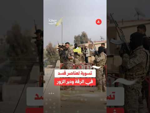 تسوية لعناصر قسد
