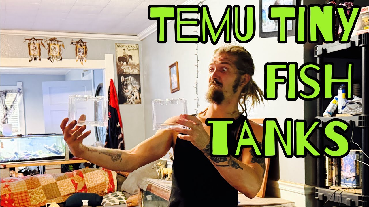 Temu tiny tank 