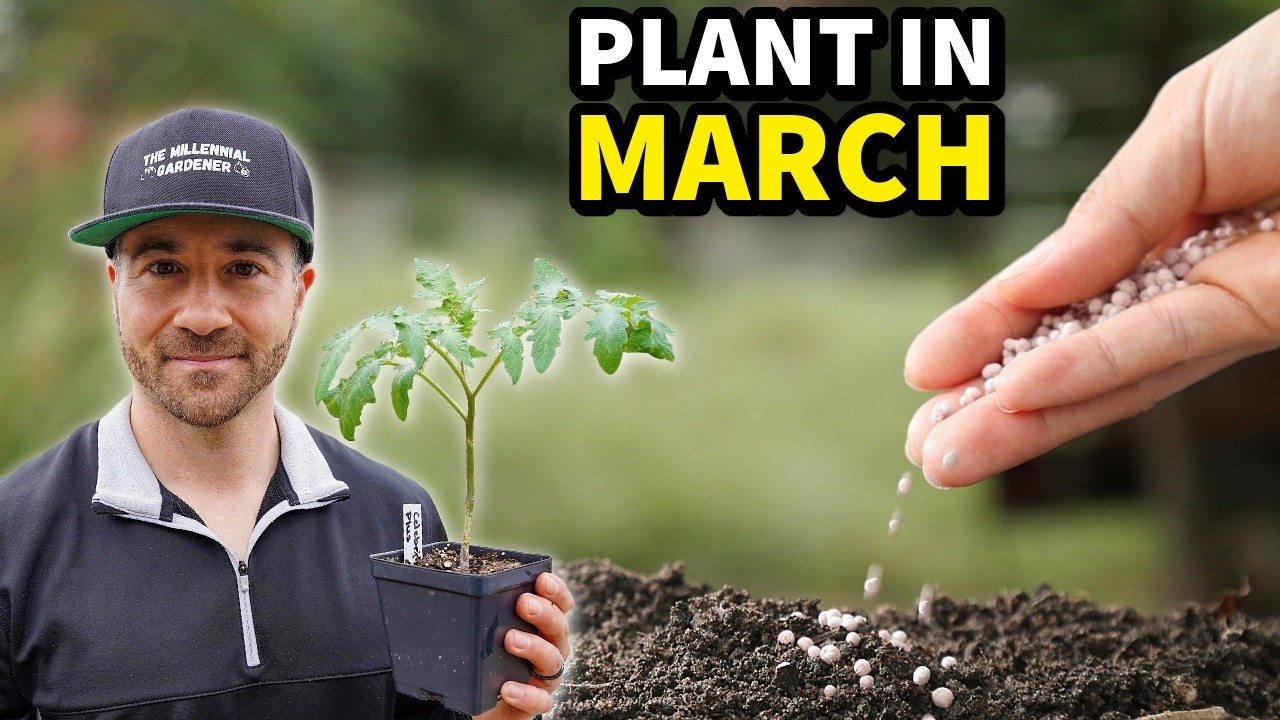 Plant This In March NOW, Or Regret It Later!