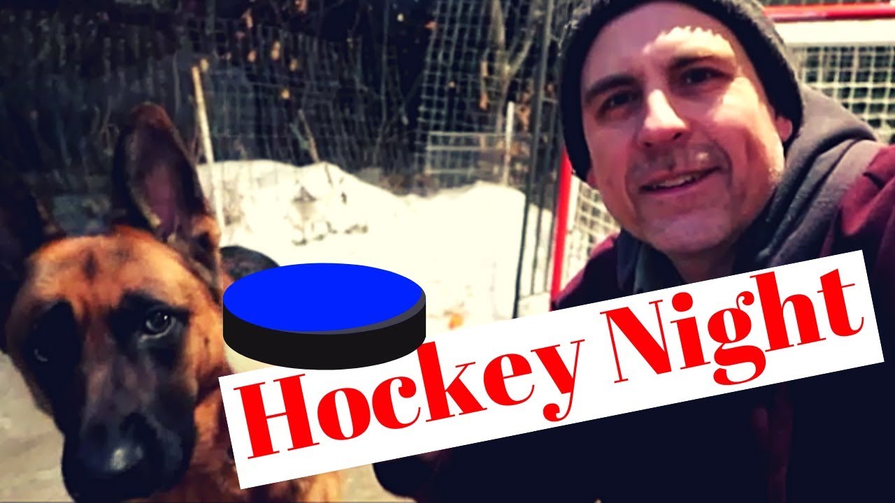 Hockey Night with My German Shepherd YouTube