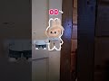 Labubu #viralvideo #shorts