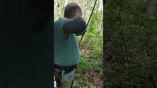 3d Standing Deer Target-ELB #archery #sport #outdoors #hobby #practice #friends #fun #nature #ok #3d