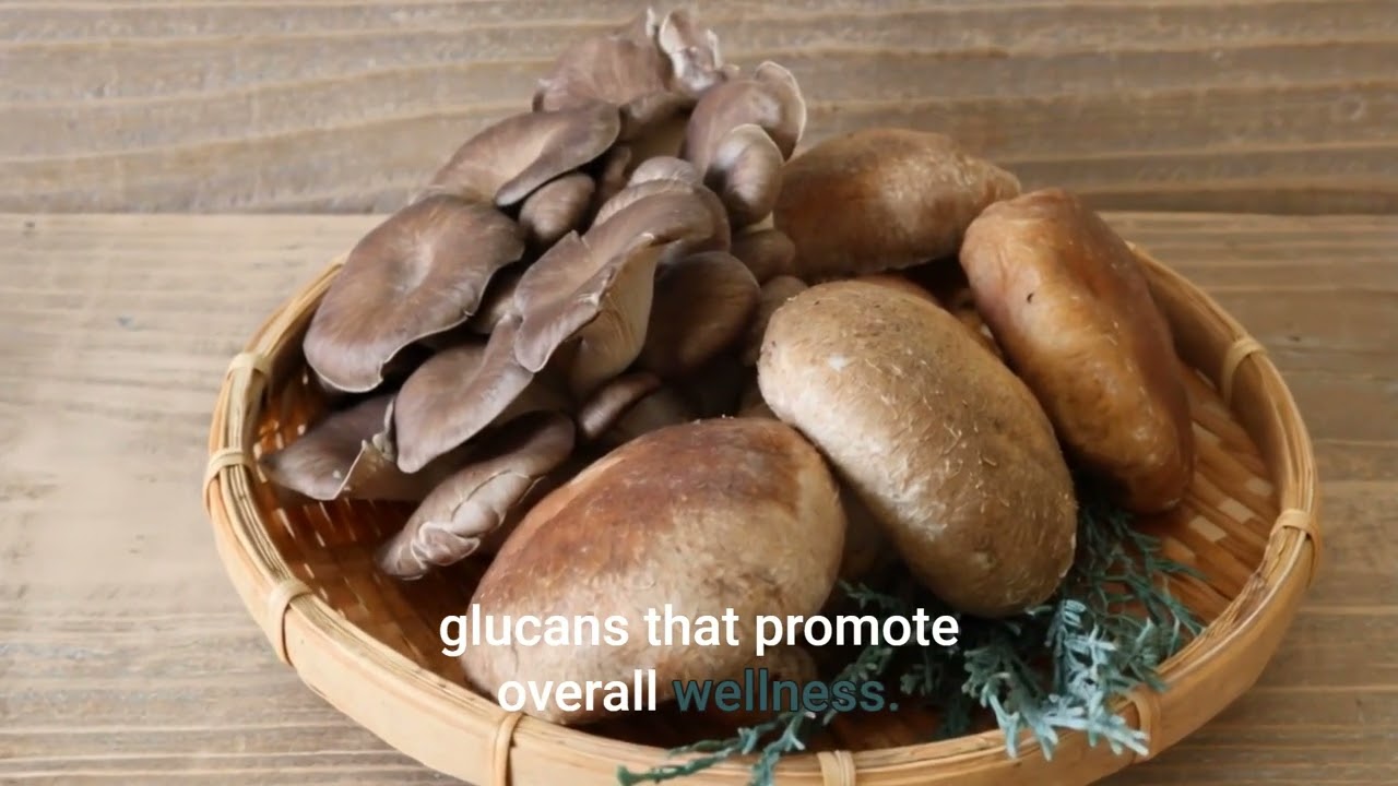 Super 7 Brew- Mushroom Coffee Reimagined