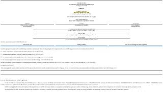 VASO Sells NetWolves: My Biggest Concern about the 8-K