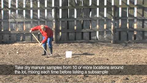 Sampling Manure From an Open Lot (Spanish version)