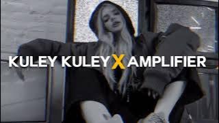 Kuley kuley X Amplifier mashup 2023 song || Yo yo Honey Singh