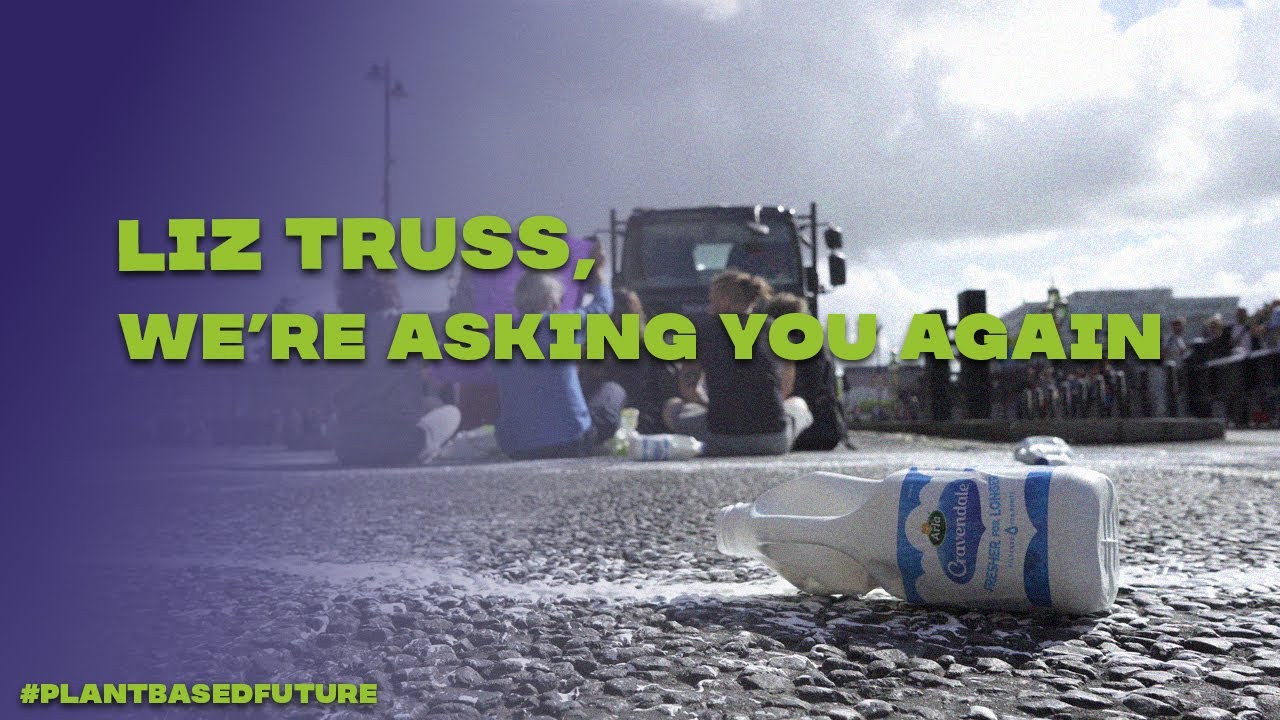 Liz Truss, We're asking you again...