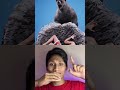 Jatuh di balik batu #facts #wildlife #animals #interestingfacts #shortvideo #feedshort #komedi