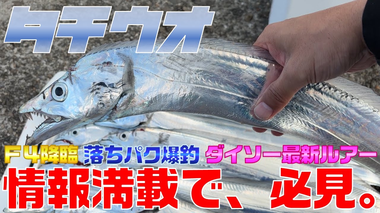 【タチウオ】指４・明るい時間に爆釣・ダイソー最新ルアーインプレ…情報満載で必見です。＜和歌山釣り＞