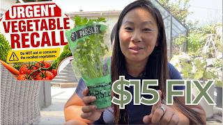 Food Safety: Why You Need to Start Your Garden Now