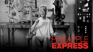 Smoke at Your Own Risk | Pineapple Express