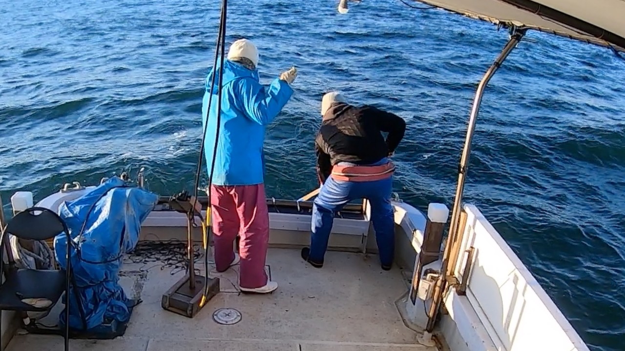 海中に巨大な影。二人がかりで必死に引き揚げた先に待っていた衝撃の光景[何気ない漁の様子][Vlog]