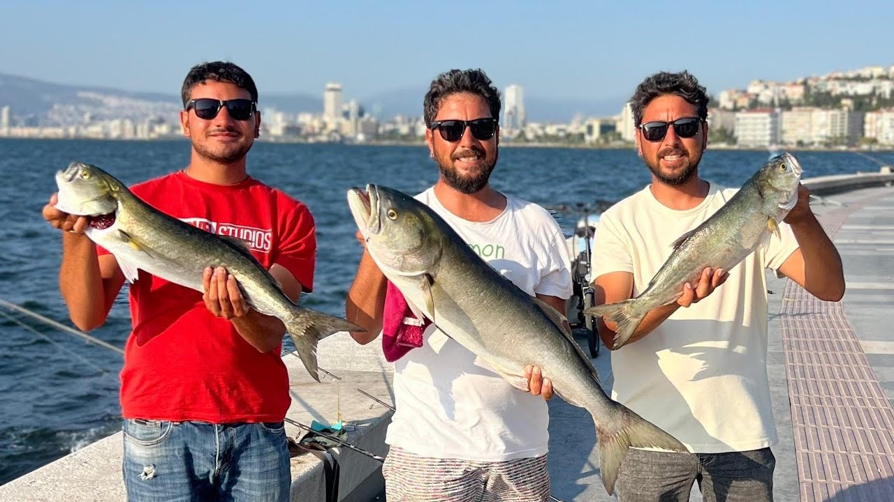 FULL AKSİYON!!! LÜFERLER EVRİM GEÇİRMİŞ