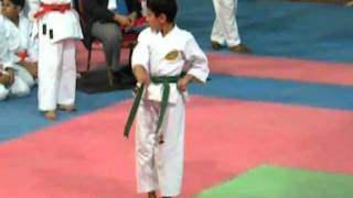 Adnan Said Karate Resimi