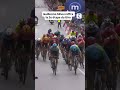 😲 Vainqueur surprise sur le Giro d'Italia ! Silva s'offre l'étape et le Maillot Rose #giro #cycling