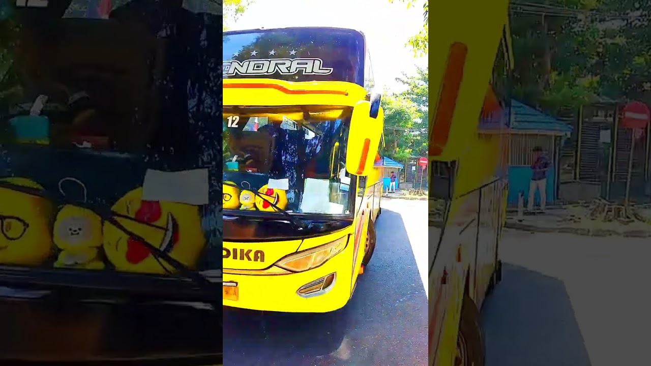 New Setra HDD Double Glass 😍😍 || Artis Nya Bis BHALADIKA || Tidak Membasuri 😱😍