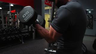 Cut Day 256 - Arm Day