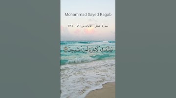 سورة النحل  - الآيات من 120 - 123 #ترتيل_القرآن_الكريم