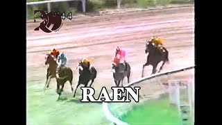 El caballo RAEN en GRAN FINAL narrado por Gustavo Ravell