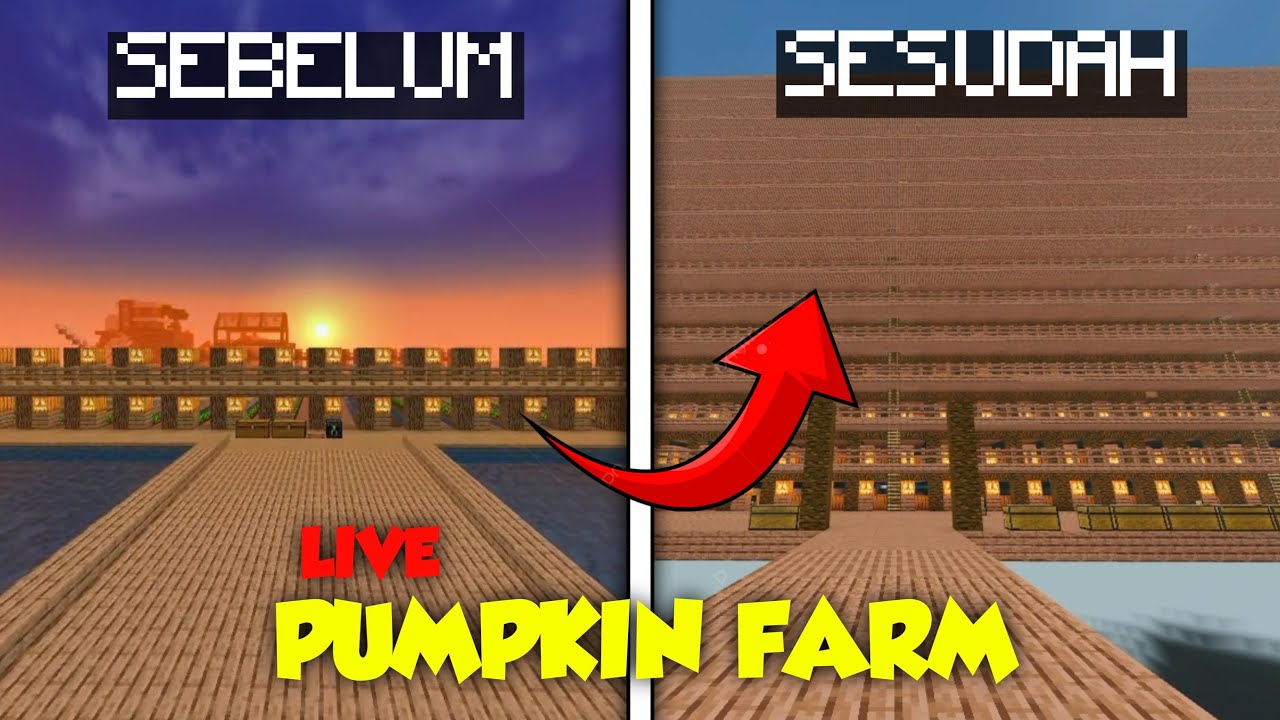 MEMBUAT FARM PUMPKIN YANG BESAR !! DI MINECRAFT SERVER - YouTube
