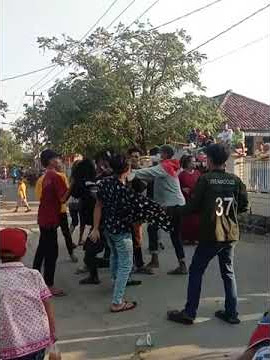 keributan singa dangdut
