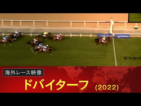 2022年・ドバイターフ(パンサラッサ Panthalassa・ロードノース Lord
