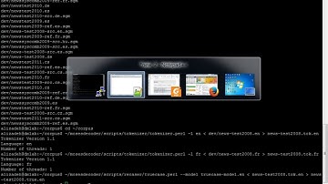 Moses installation on Ubuntu 16.04 - Part 11: Tuning using MERT