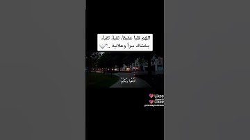 اجمل صوت قارئ قران كريم 🌹🌹