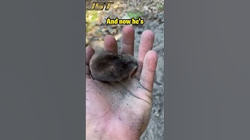 All he knows is digging #entertainment