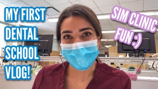VLOG #1  DAY IN THE LIFE OF A DENTAL STUDENT + making veneers