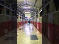 All you want is to Travel | It is my Therapy | Travel is Everything | #shorts #travel #travelvlog