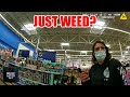 Nervous Shopper's Excuses Spiral as Police Start Asking Questions