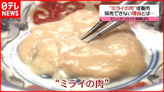 【ミライの肉】培養肉ルールなく販売できず…今なぜ必要？