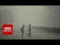 Choking delhi smog draws protests  bbc news