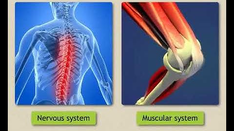 Co - ordination in Plants (Regulators of Life) : Sundaram Eclass Science concepts (9-10 grade)