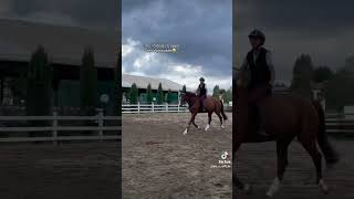 Tik Tok Di Hahha Scusate Se Non O Pubblicato E Che Sono Stata Ente