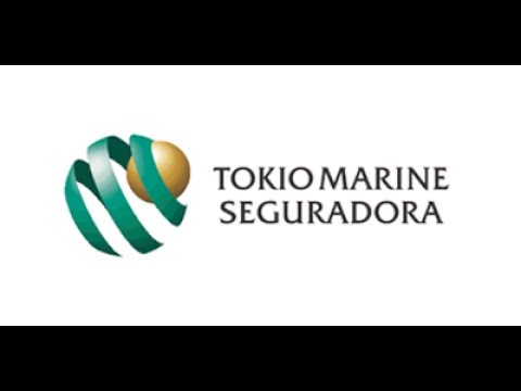 TUTORIAL AUTO TOKIO MARINE 2017