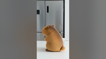 Costume change! Enter Chef Capybara. Watch the magic unfold #cute #pets #funny