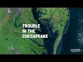 Chesapeake Bay: Ecosystem Challenges and Economic Impact