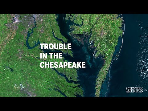 Will the Chesapeake Become a Dead Zone?