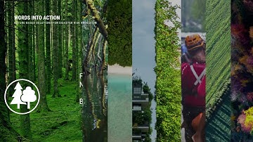 Words into Action:  What are Nature-based Solutions?