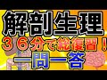 看護師国家試験『解剖生理』まとめ！一問一答！