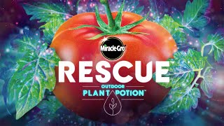 How to Use Miracle Gro Rescue Outdoor Plant Potion by Miracle-Gro 638 views 1 year ago 45 seconds